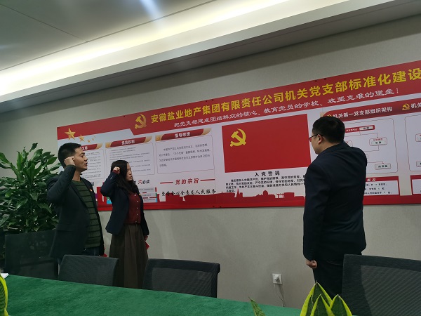 安徽鹽業(yè)地產(chǎn)集團(tuán)機(jī)關(guān)第一黨支部開展“佩黨徽、誦誓詞、贈(zèng)黨章、上黨課”黨員教育活動(dòng)