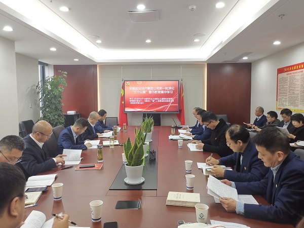 安徽鹽業(yè)地產(chǎn)集團(tuán)公司開展新一輪深化“三個以案”警示教育集中學(xué)習(xí)