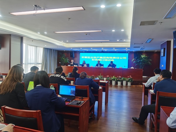 徽鹽地產(chǎn)集團(tuán)開(kāi)展明源與財(cái)務(wù)接口實(shí)操培訓(xùn)