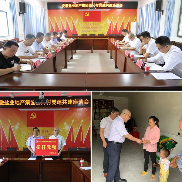 安徽鹽業(yè)地產集團黨委赴西河村開展結對共建幫扶慰問活動